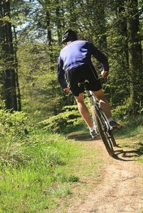Mountainbike i Brandbjergs baghave